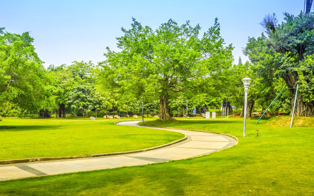 Une entreprise d'espaces verts réalise vos projets d'aménagement extérieur pour valoriser votre environnement.