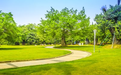 Valoriser votre propriété avec une entreprise d’espaces verts