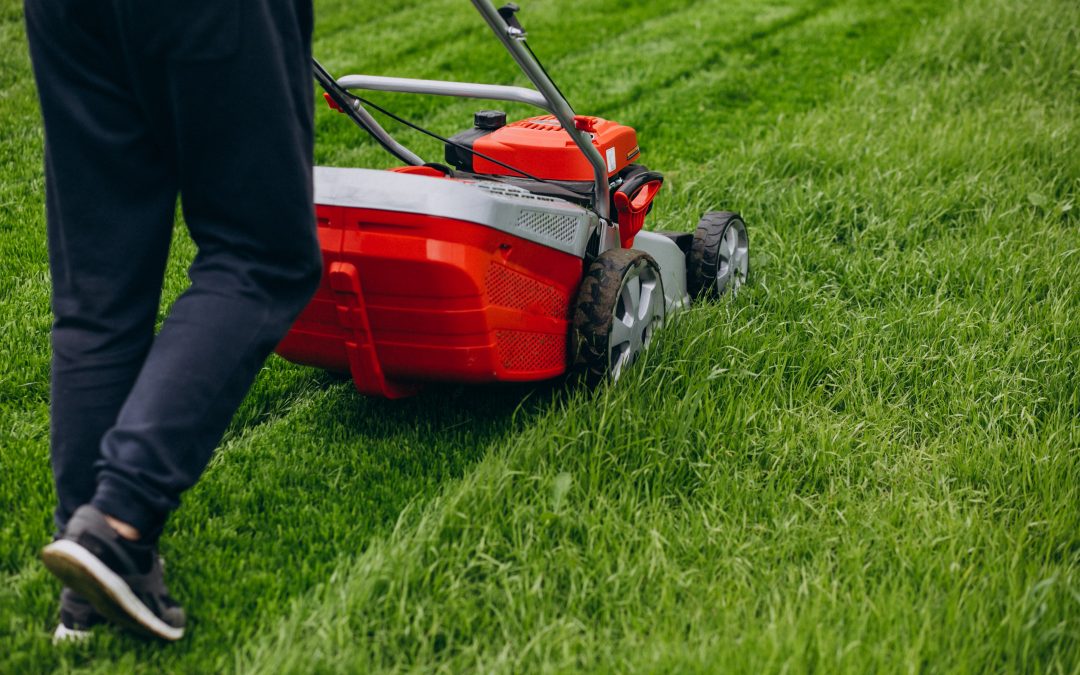 Tonte de pelouse : un service clé pour un jardin en pleine santé