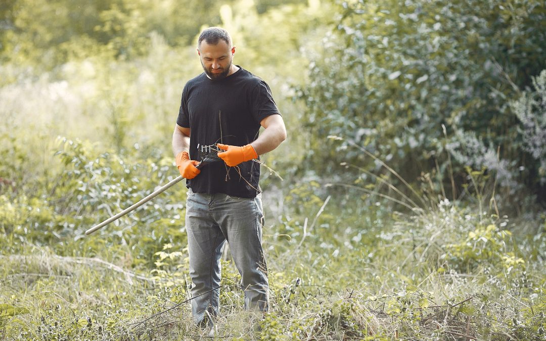 Le débroussaillage est nécessaire pour nettoyer les terrains abandonnés