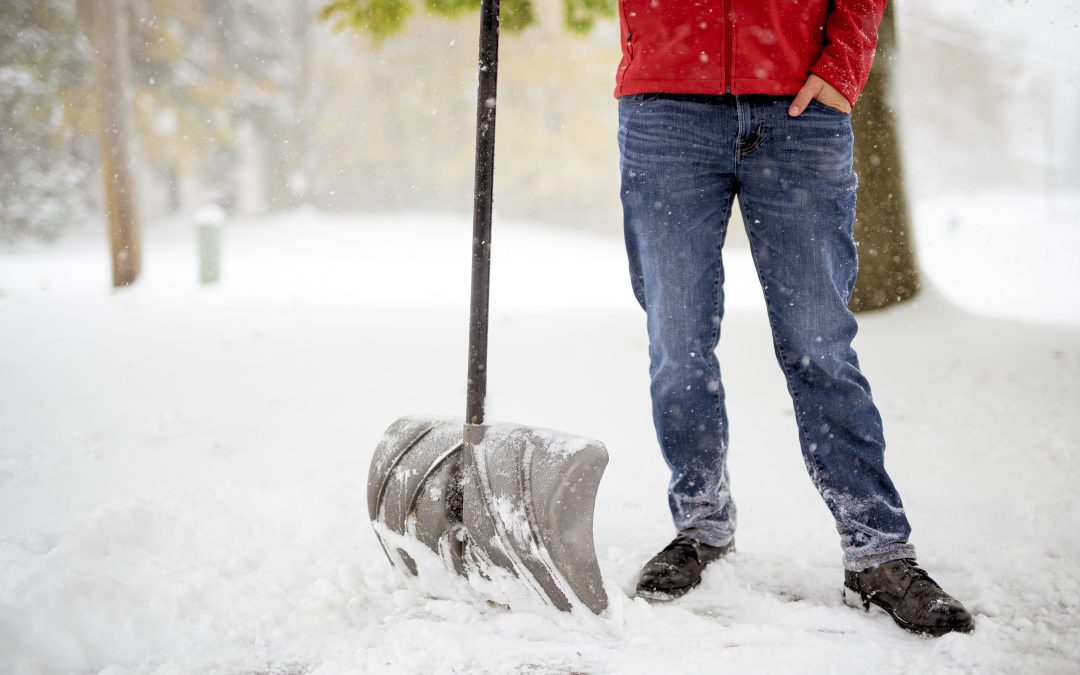 Le déneigement est essentiel pour la sécurité de votre extérieur et pour préserver vos plantes.